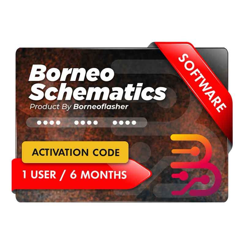 Licença de ativação - Borneo 6 meses 1 PC